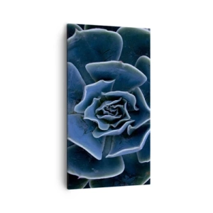 Impression sur toile - Image sur toile - Fleur du désert - 45x80 cm