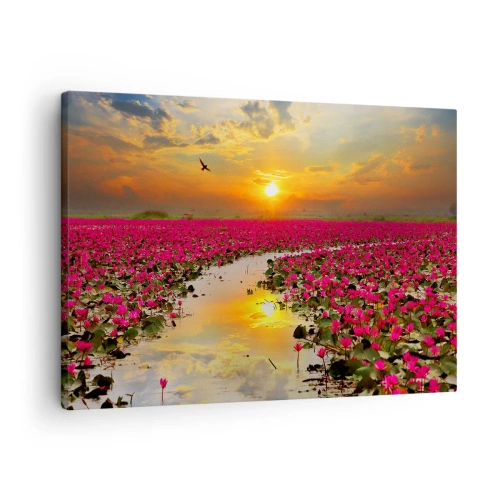 Impression sur toile - Image sur toile - Un champ de nénuphars roses au coucher du soleil - 70x50cm - La vie secrète du lac - Décoration murale moderne pour le salon et la chambre ARTTOR