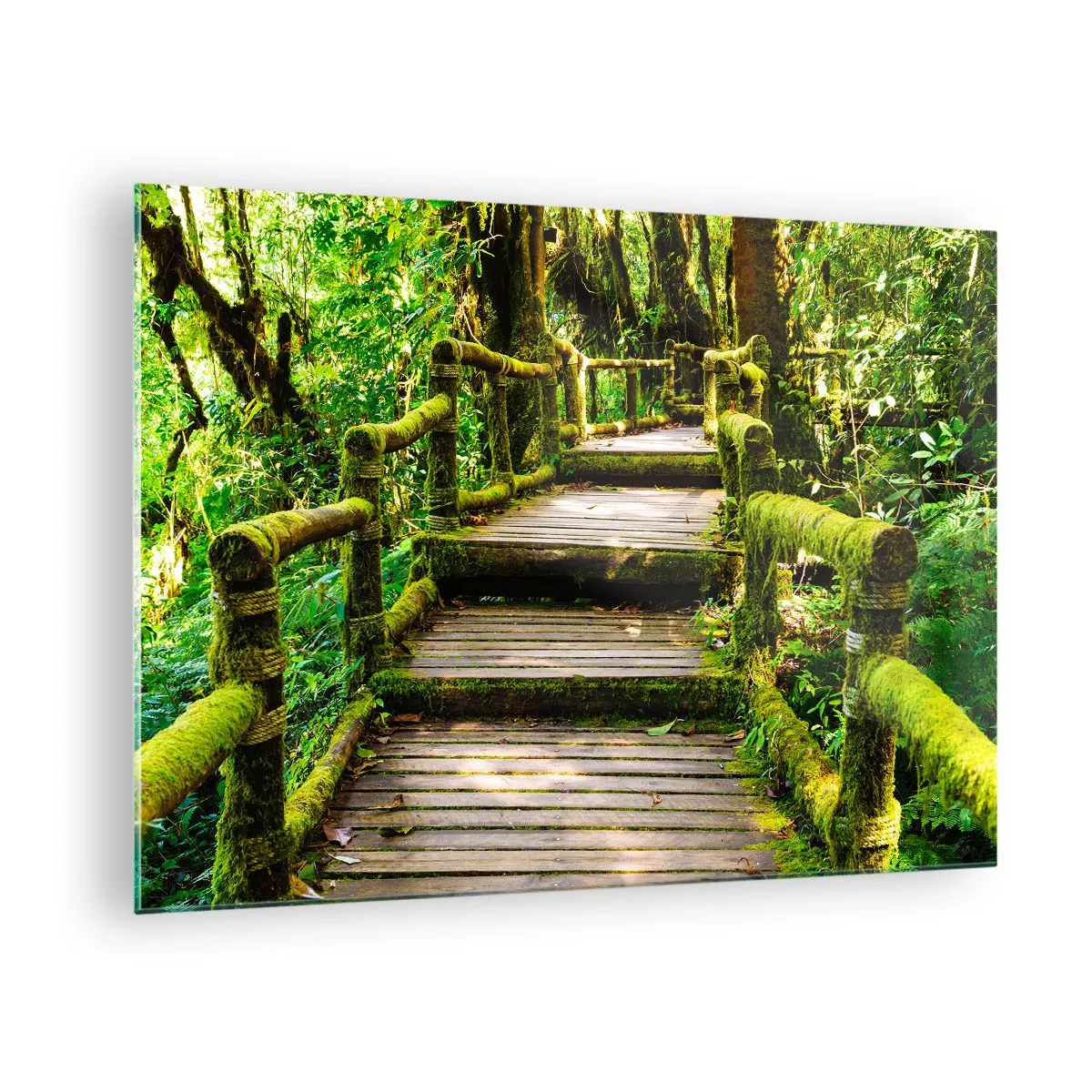 Impression sur verre - Image sur verre - Un chemin en bois dans une forêt verte couverte de mousse - 70x50cm - Un couloir de verdure - Décoration murale moderne pour le salon et la chambre ARTTOR