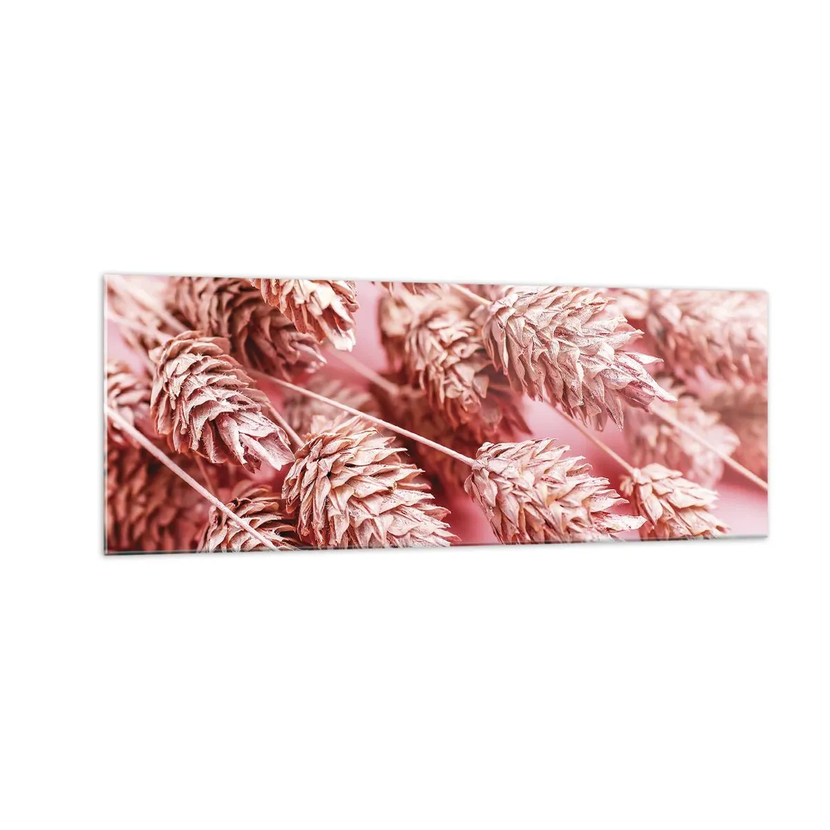 Impression sur verre - Image sur verre - Gros plan des oreilles teintées de rose - 140x50cm - Une cascade florale en rose - Décoration murale moderne pour le salon et la chambre ARTTOR