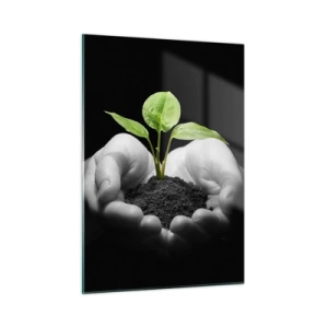 Impression sur verre - Image sur verre - Une jeune plante dans les mains sur un fond noir - 50x70cm - J'aime la nature, je la protège - Décoration murale moderne pour le salon et la chambre ARTTOR