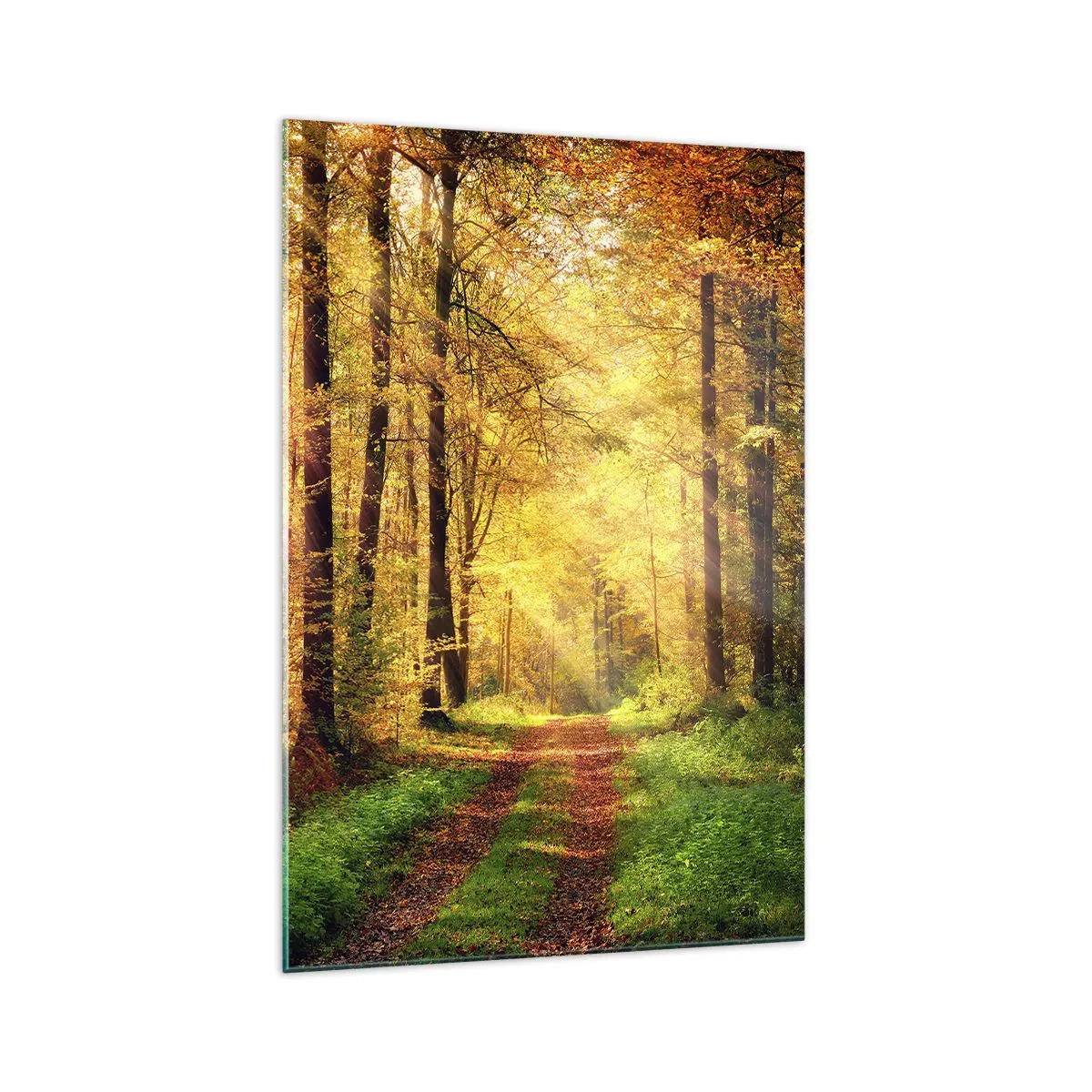 Impression sur verre - Image sur verre - Un chemin forestier entouré d'arbres dorés et verts - 70x100cm - Silence d'or en forêt - Décoration murale moderne pour le salon et la chambre ARTTOR