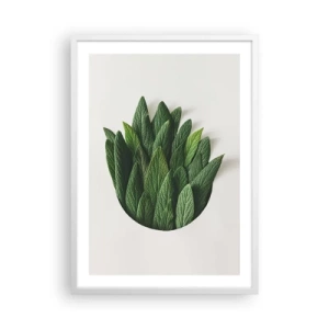 Affiche dans un cadre blanc - Poster - Curiosité sans retenue - 50x70 cm