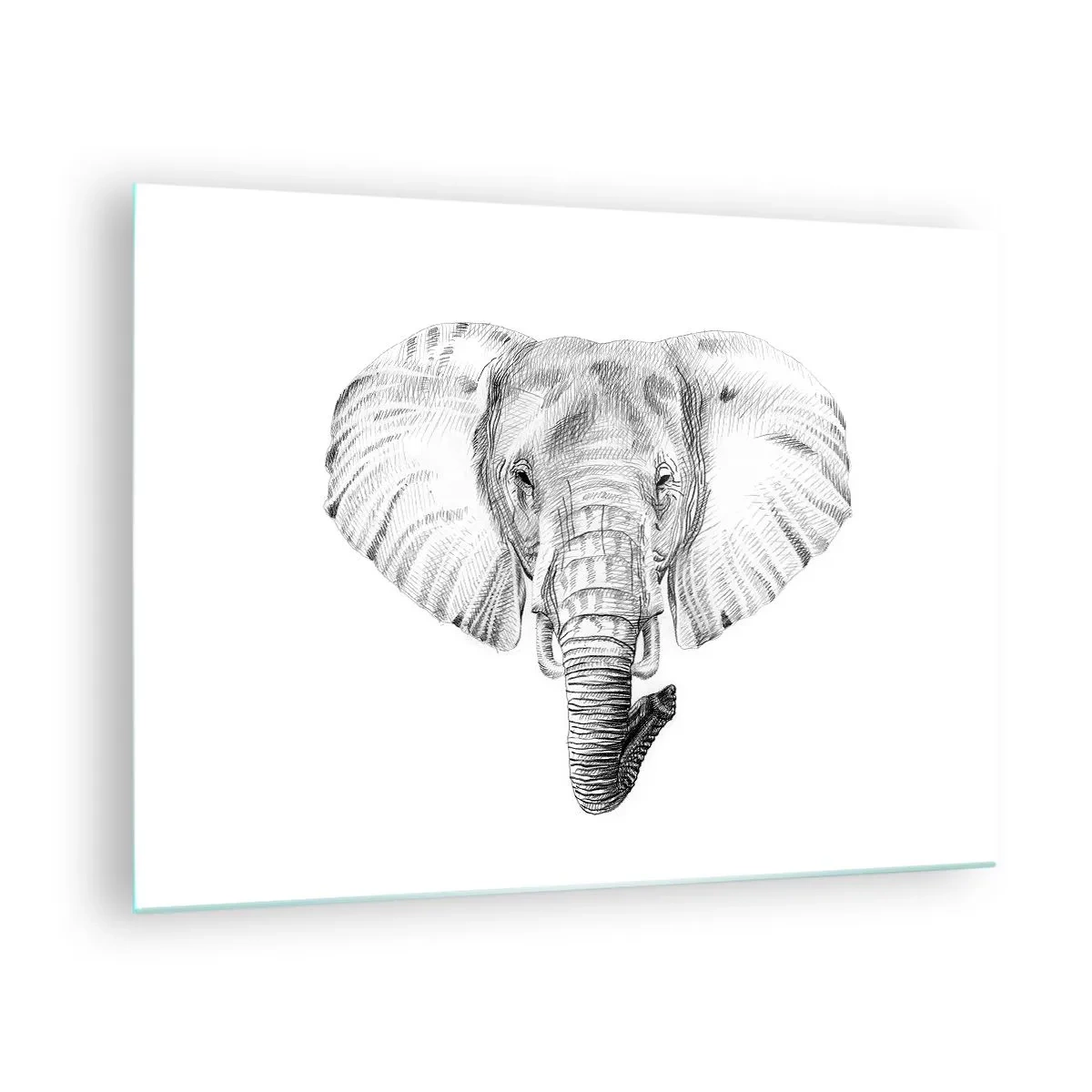 Impression sur verre - Image sur verre - Dessin en noir et blanc d'une tête d'éléphant sur fond blanc - 70x50cm - "Un éléphant ça trompe bien souvent" - Décoration murale moderne pour le salon et la chambre ARTTOR