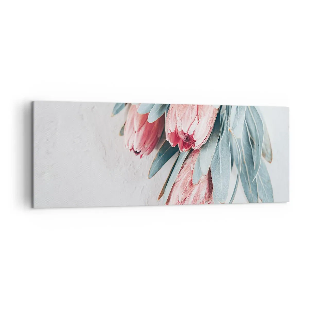 Impression sur toile - Image sur toile - Fleurs de protéa roses subtiles sur fond clair - 140x50cm - Honte de leur propre beauté - Décoration murale moderne pour le salon et la chambre ARTTOR