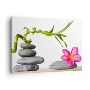 Impression sur toile - Image sur toile - Bambou et fleur rose sur pierres de style zen - 70x50cm - Couleurs de la vie et de la durée - Décoration murale moderne pour le salon et la chambre ARTTOR