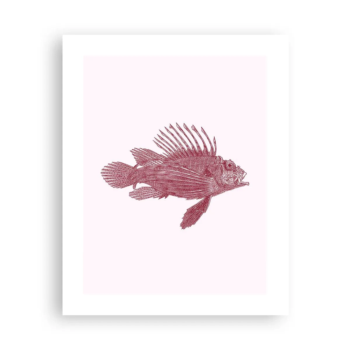 Affiche - Poster - Un habitant des eaux exotiques - 40x50 cm