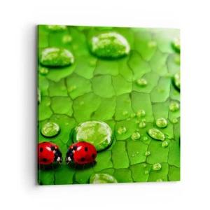 Impression sur toile - Image sur toile - Rendez-vous au vert - 70x70 cm