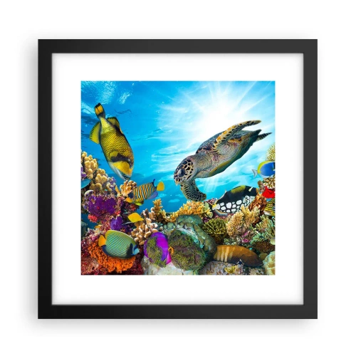 Affiche dans un cadre noir - Poster - Promenade de corail - 30x30 cm