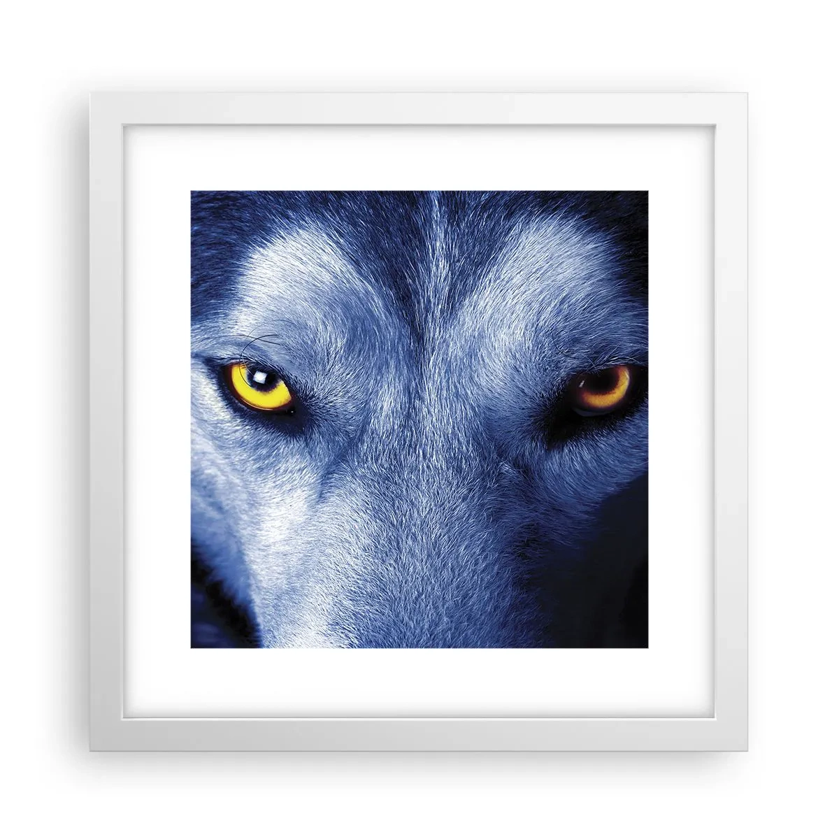 Affiche dans un cadre blanc - Poster - Regars hypnotique - 30x30 cm