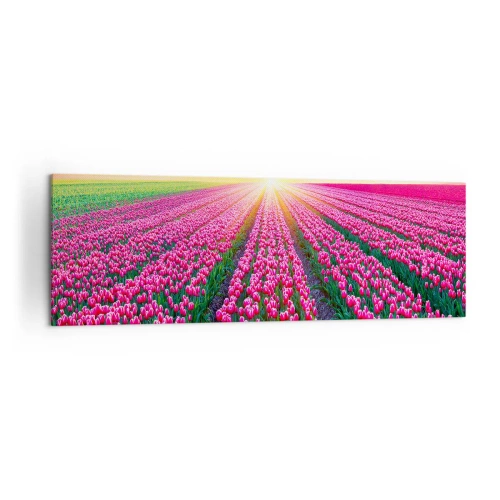Impression sur toile - Image sur toile - Un champ de tulipes au coucher du soleil - 160x50cm - Ferme de la beauté - Décoration murale moderne pour le salon et la chambre ARTTOR