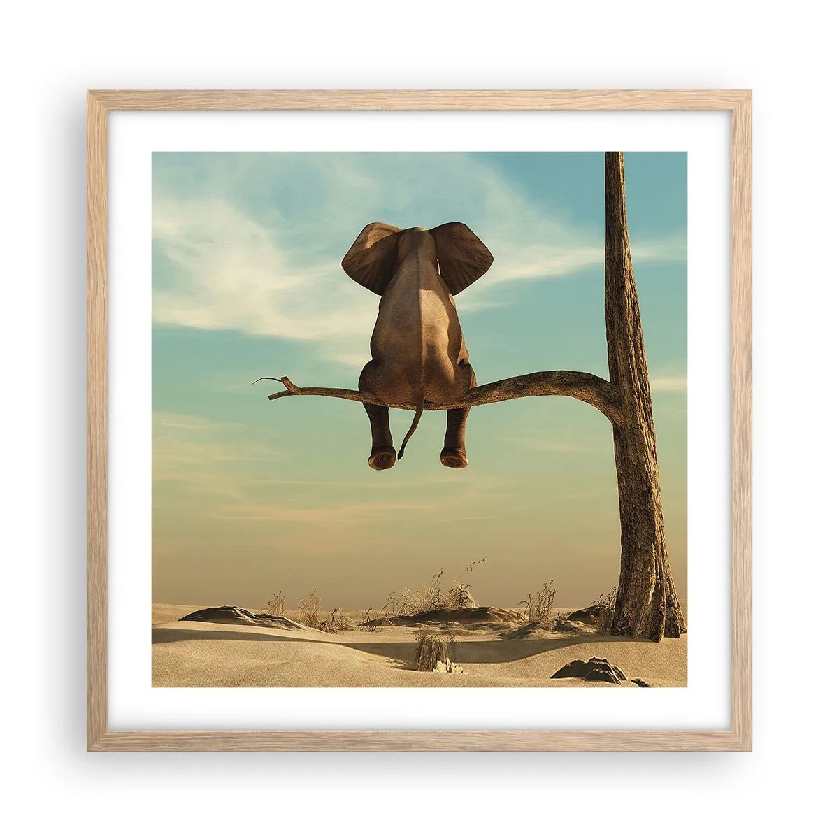 Affiche dans un chêne clair - Poster - Nouveau point de vue - 50x50 cm