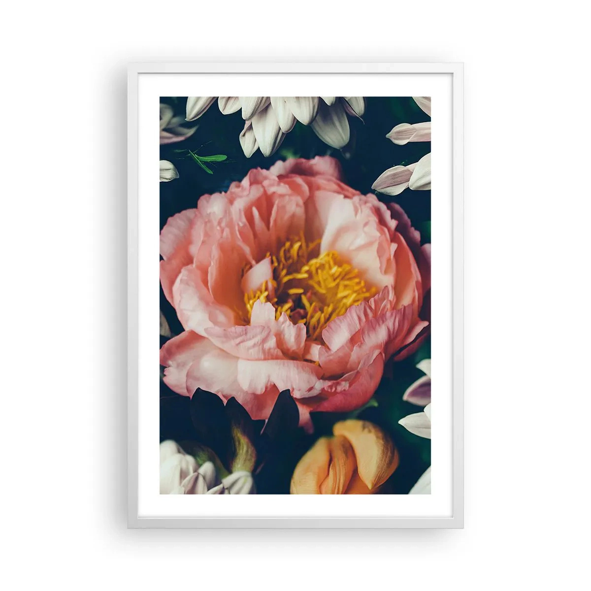 Affiche dans un cadre blanc - Poster - Splendeur baroque - 50x70 cm