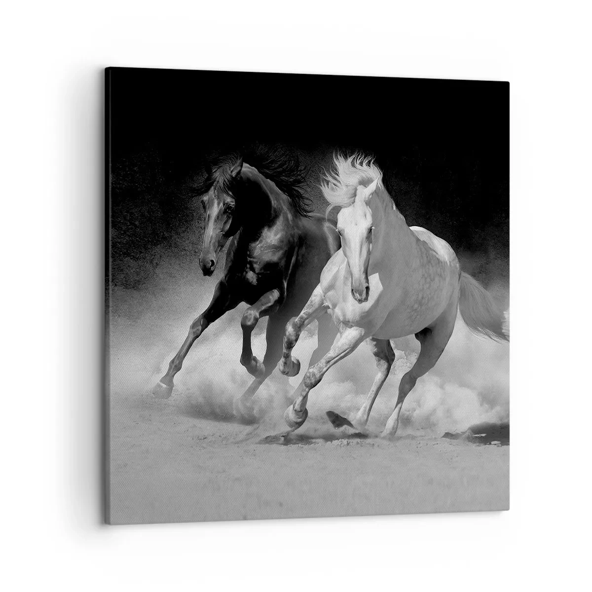 Impression sur toile - Image sur toile - Galop de la liberté - 50x50 cm
