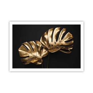 Affiche - Poster - Les trésors de la nature - 91x61 cm