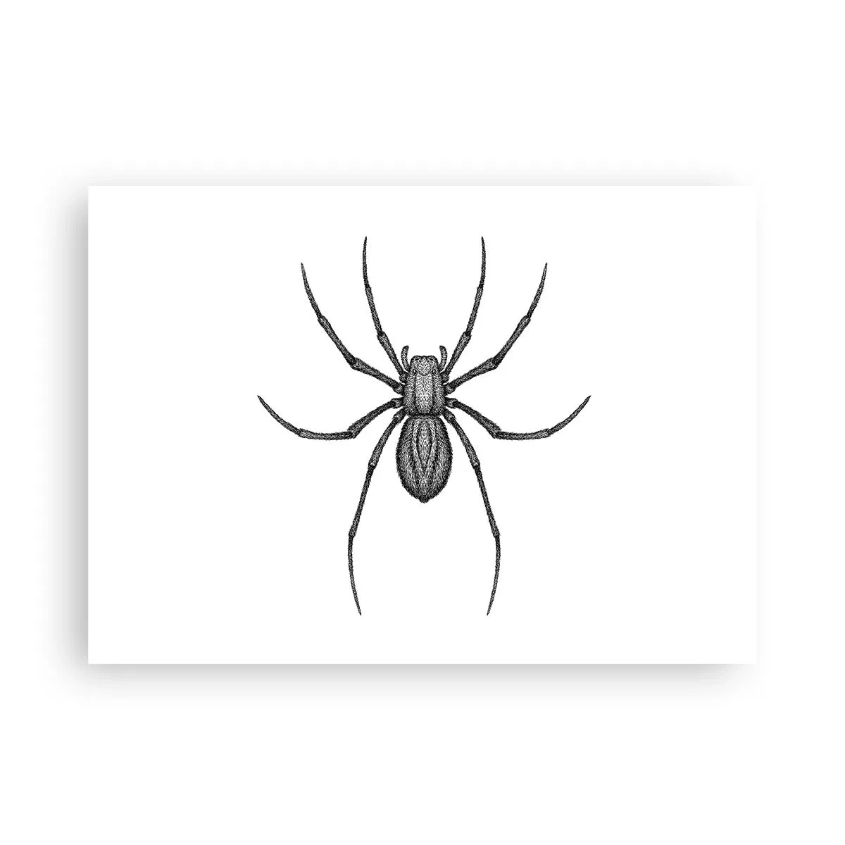 Affiche - Poster - Une précision troublante - 70x50 cm