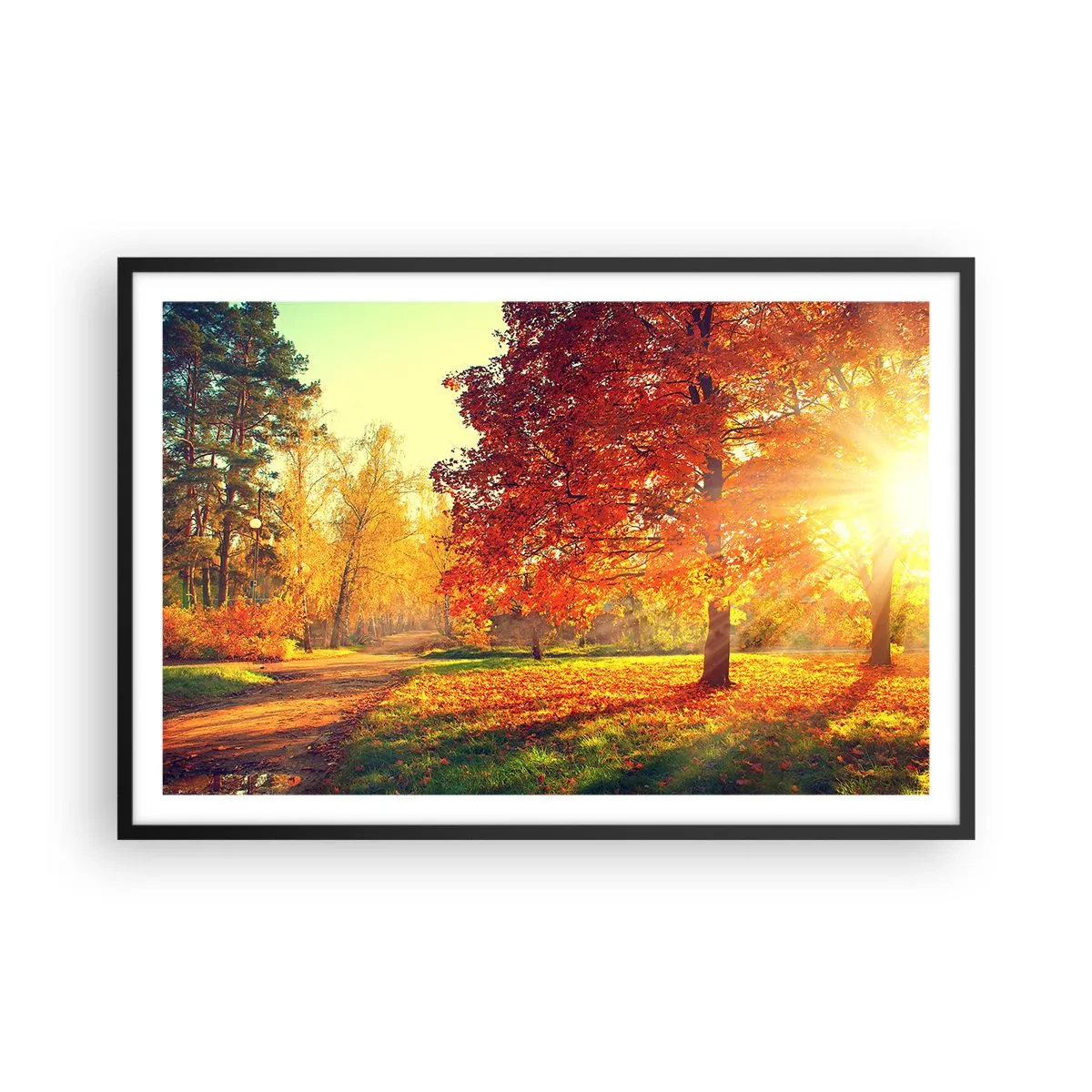 Affiche dans un cadre noir - Poster - Le roux est beau - 91x61 cm