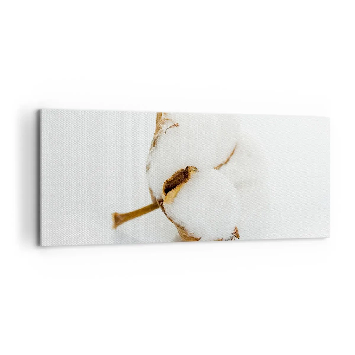 Impression sur toile - Image sur toile - Doux par nature - 100x40 cm