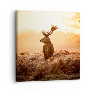 Impression sur toile - Image sur toile - Seigneur du domaine - 30x30 cm