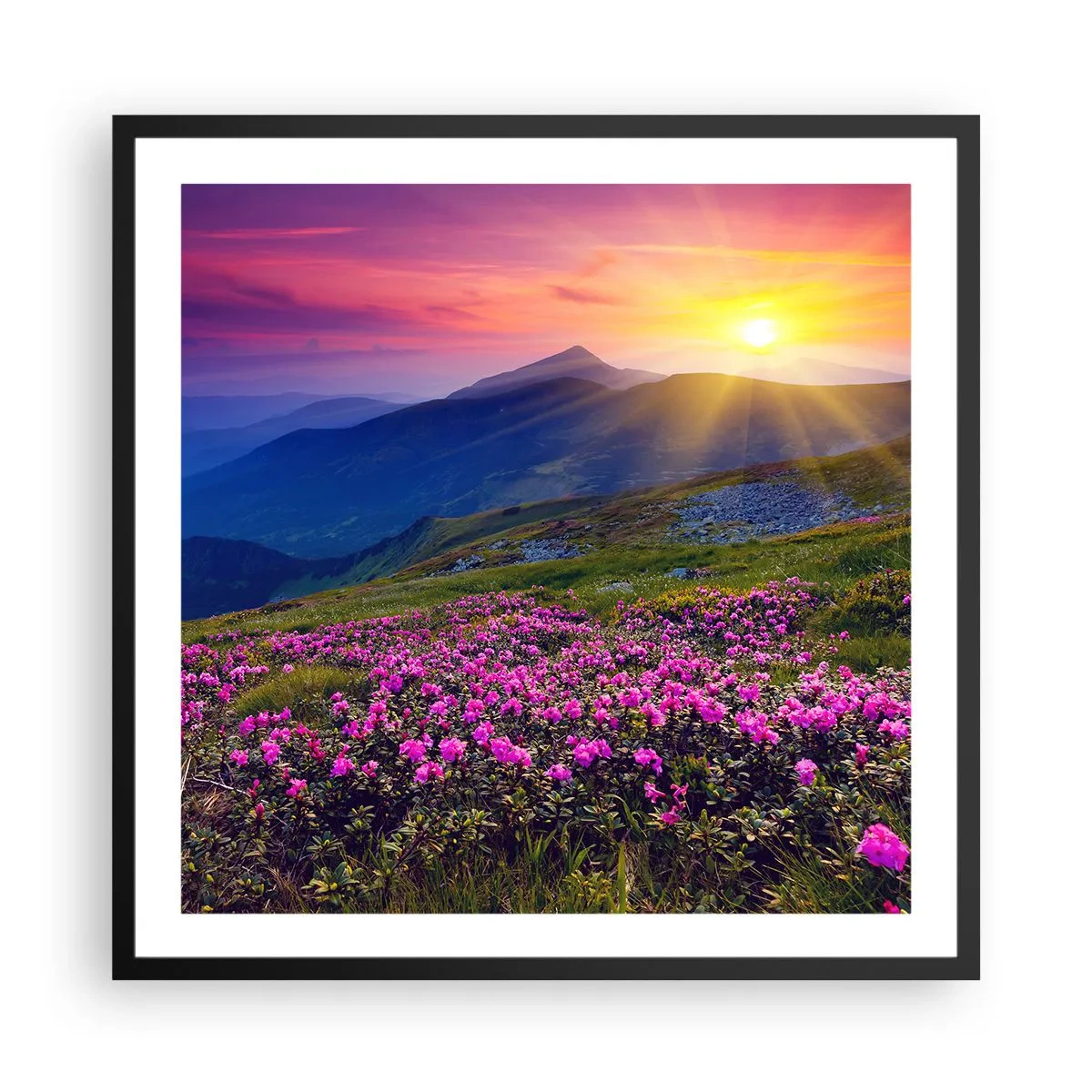 Affiche dans un cadre noir - Poster - … Et autour, ça sent le pin des montagnes et l'odeur de la prairie - 60x60 cm
