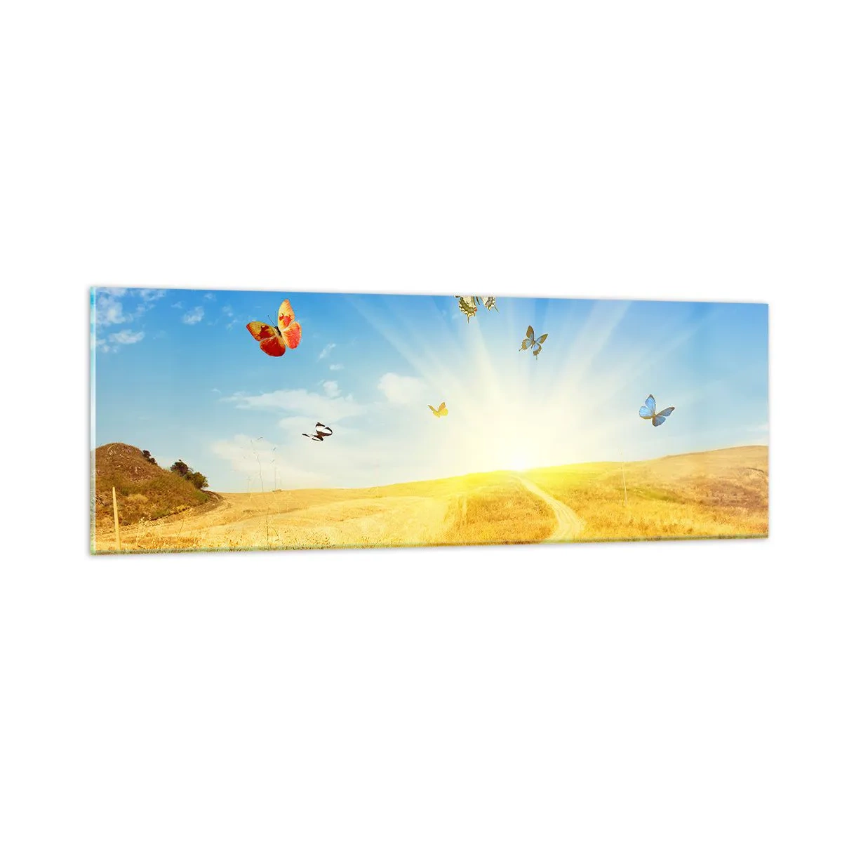 Impression sur verre - Image sur verre - Et comment ne pas aimer l'été ? - 90x30 cm