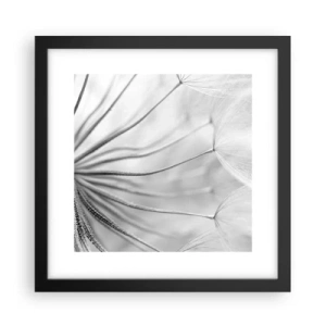 Affiche dans un cadre noir - Poster - Aigrette avant son envol - 30x30 cm