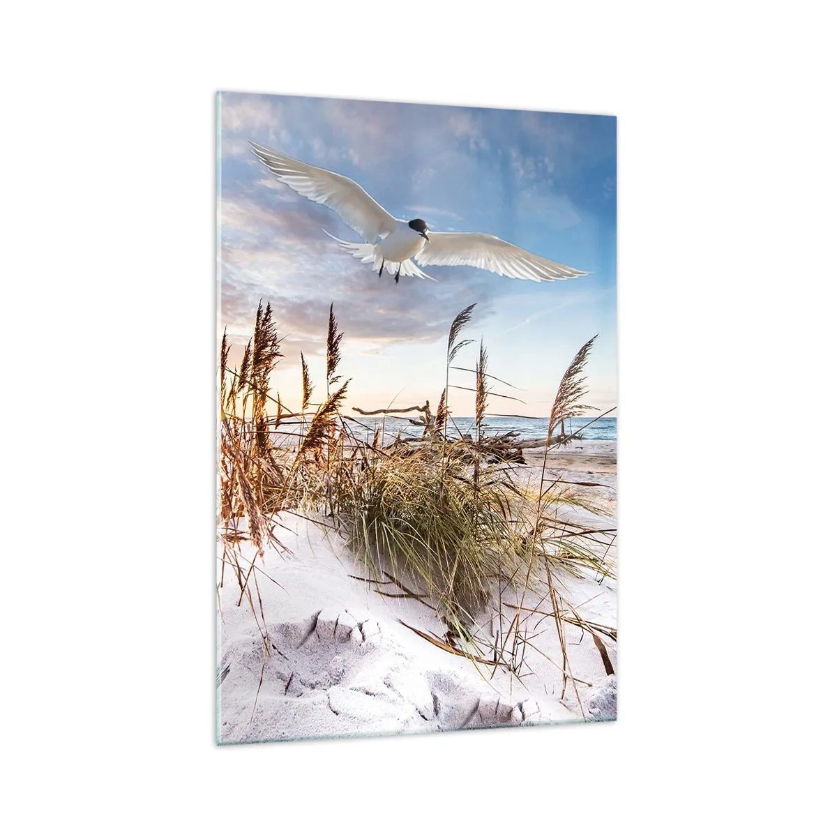 Impression sur verre - Image sur verre - Plage avec des mouettes volant au coucher du soleil - 70x100cm - Vent de mer - Décoration murale moderne pour le salon et la chambre ARTTOR