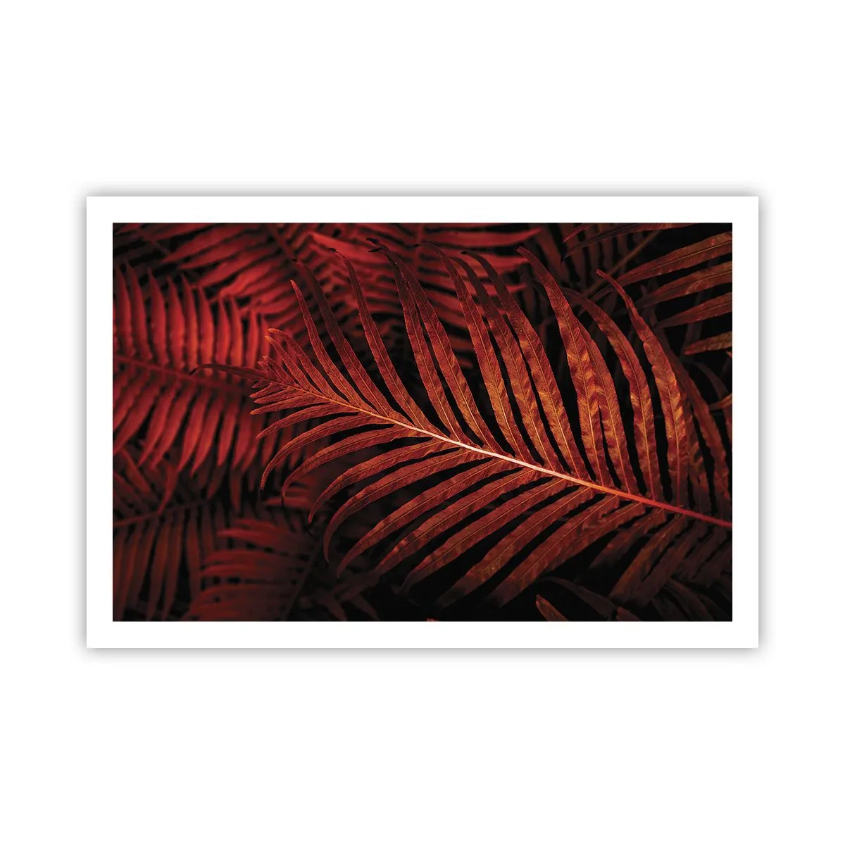 Affiche - Poster - Chaleur de la vie - 91x61 cm