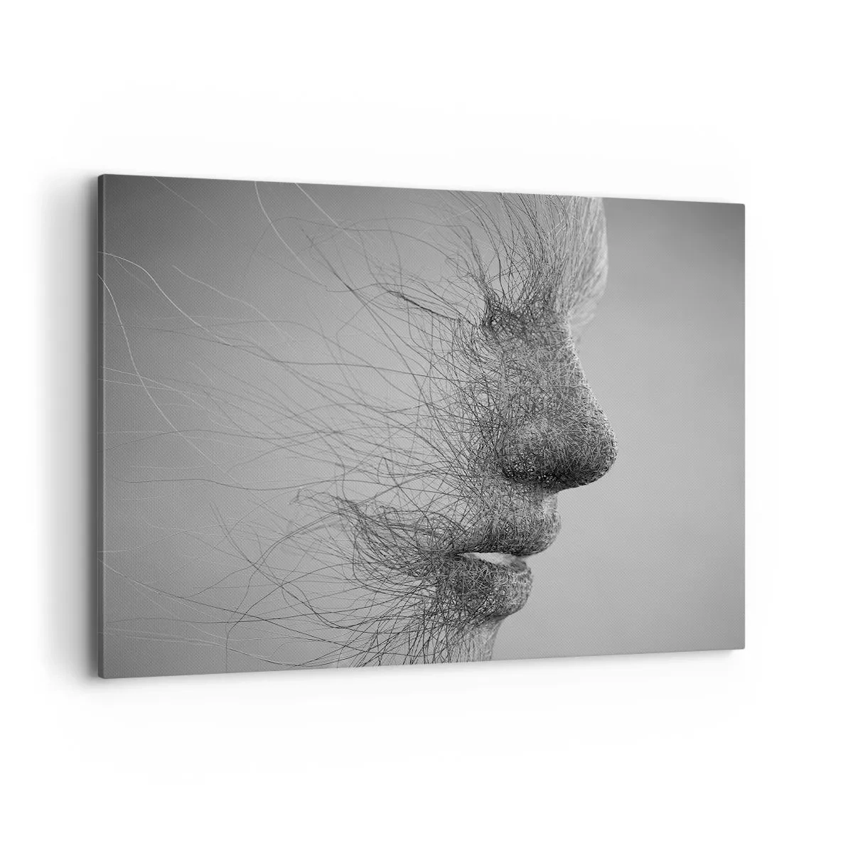 Impression sur toile - Image sur toile - Profil facial artistique créé avec des lignes délicates - 100x70cm - L'esprit du vent - Décoration murale moderne pour le salon et la chambre ARTTOR