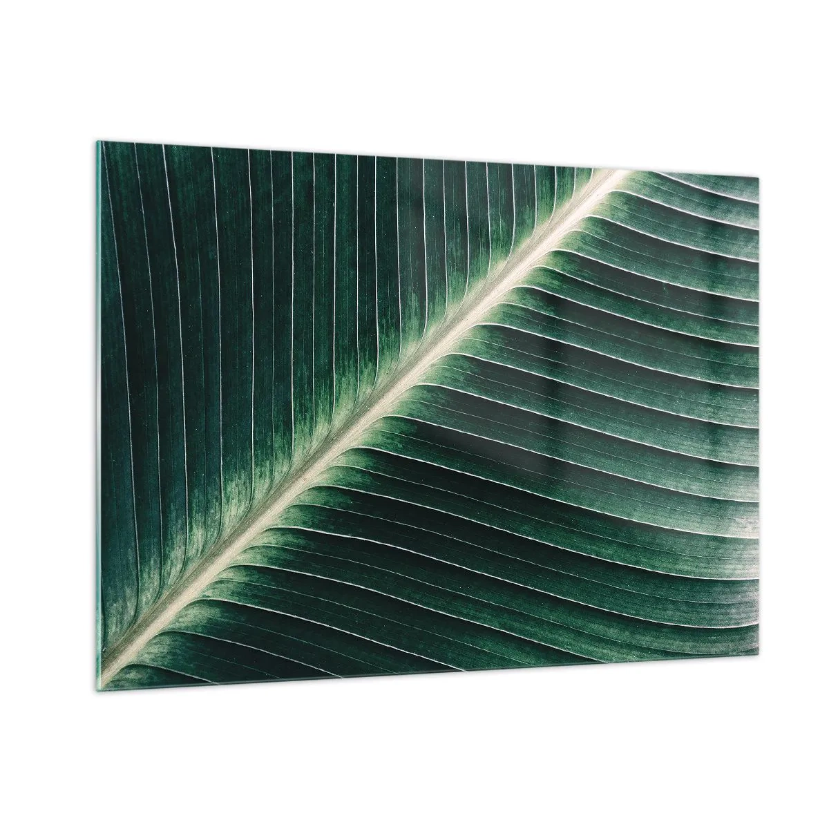 Impression sur verre - Image sur verre - Détail d'une feuille de bananier dans une nuance de vert intense - 100x70cm - Le rythme de la nature - Décoration murale moderne pour le salon et la chambre ARTTOR