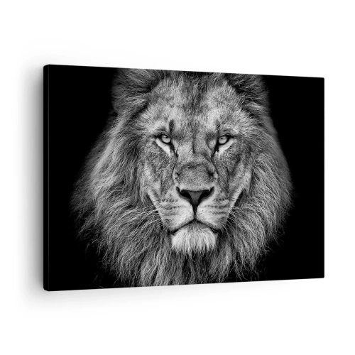 Impression sur toile - Image sur toile - Portrait d'un lion majestueux en noir et blanc - 70x50cm - En vêtement de sacre - Décoration murale moderne pour le salon et la chambre ARTTOR