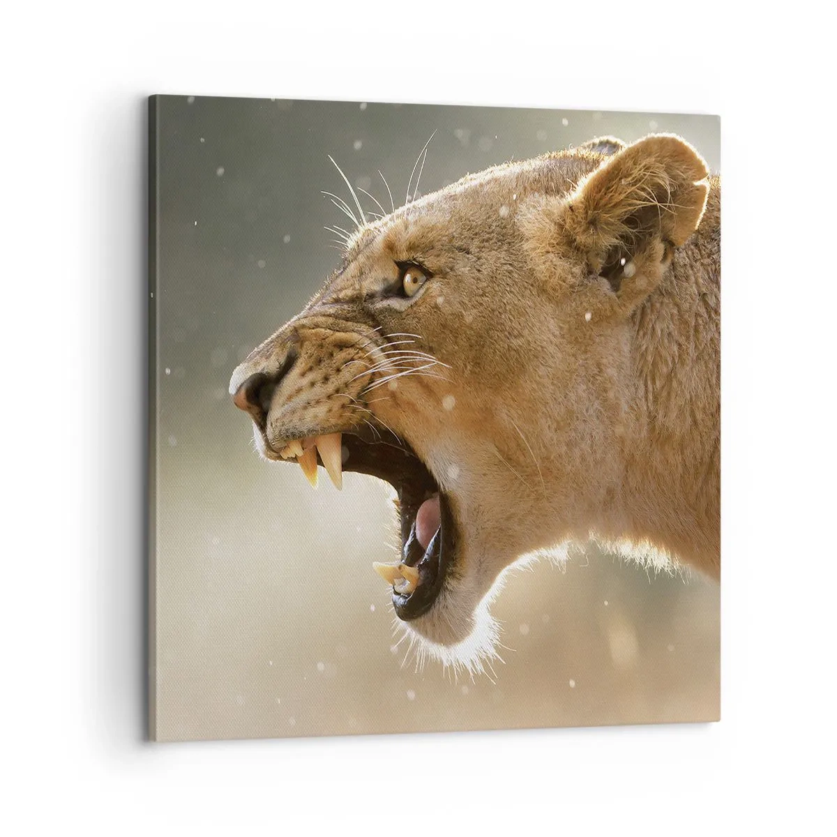 Impression sur toile - Image sur toile - Essayez  de ne pas écouter - 60x60 cm