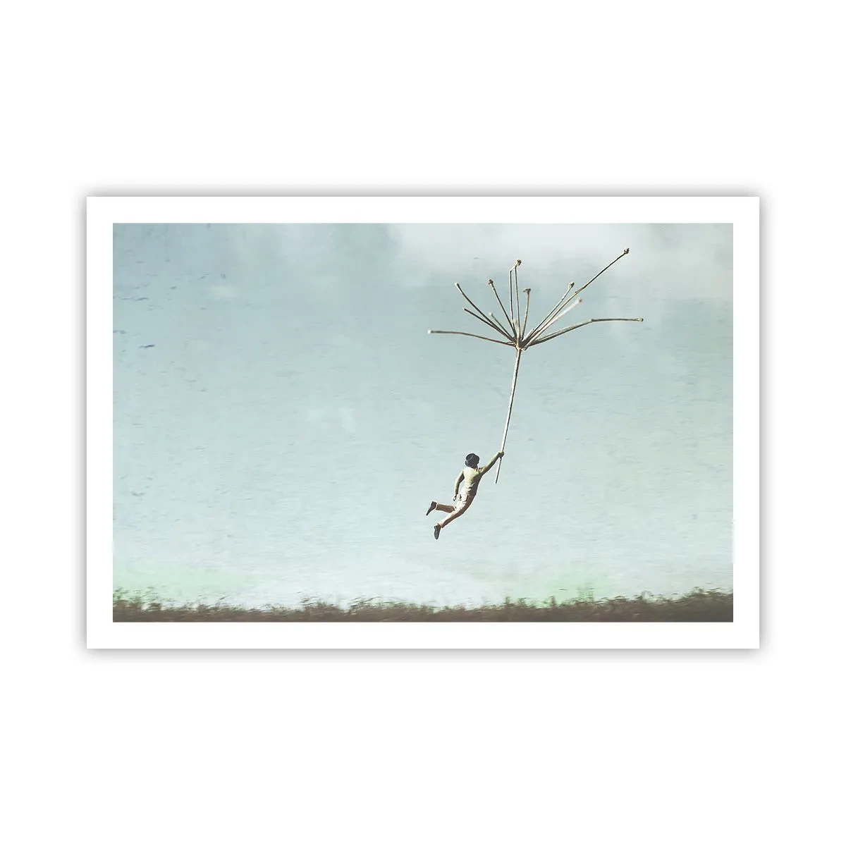 Affiche - Poster - Cerfs-volants, pissenlits, vent - 91x61 cm