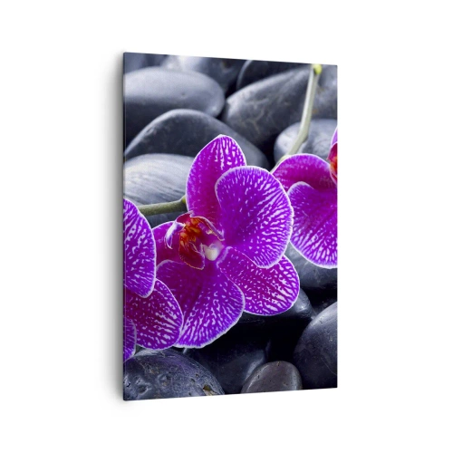 Impression sur toile - Image sur toile - Orchidées violettes sur fond de pierres noires - 70x100cm - Les pierres brillaient de joie - Décoration murale moderne pour le salon et la chambre ARTTOR