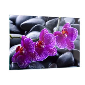 Impression sur verre - Image sur verre - Orchidées violettes sur fond de pierres lisses - 120x80cm - Les pierres brillaient de joie - Décoration murale moderne pour le salon et la chambre ARTTOR