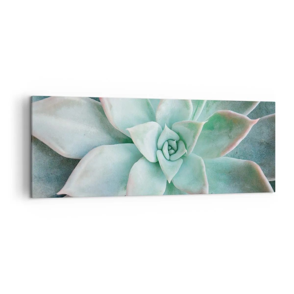 Impression sur toile - Image sur toile - Gros plan d'une succulente verte - 140x50cm - Le coeur du désert - Décoration murale moderne pour le salon et la chambre ARTTOR