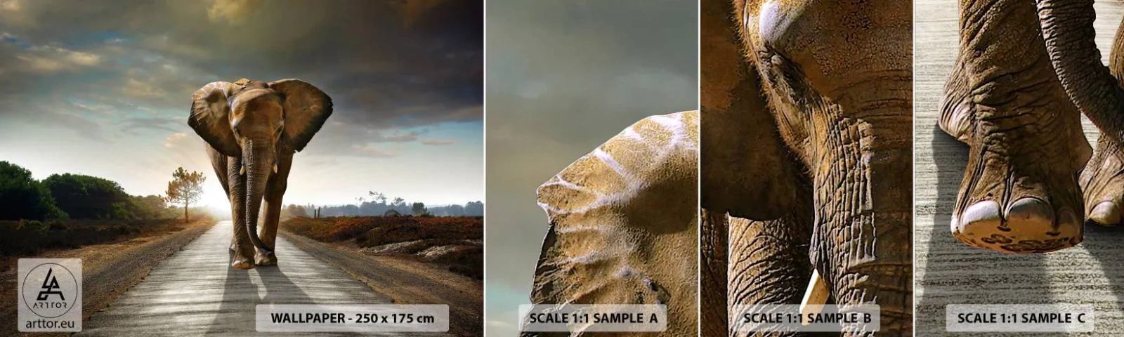 Échantillon De Papier Peint Standard Eco - Et pas du tout en porcelaine - Éléphant, Paysage, Nature - 100x30 cm