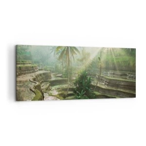 Impression sur toile - Image sur toile - Rizières en terrasses avec palmiers sous les rayons du soleil - 120x50cm - Grandir au soleil - Décoration murale moderne pour le salon et la chambre ARTTOR