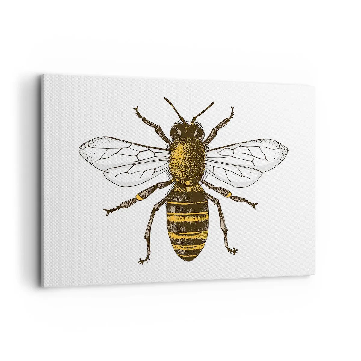 Impression sur toile - Image sur toile - Illustration détaillée d'une abeille sur fond blanc - 100x70cm - Belle et bonne - Décoration murale moderne pour le salon et la chambre ARTTOR