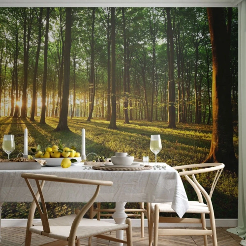 Papier Peint Photo Premium Sand - Toutes les photographies de printemps - Paysage, Forêt, Nature - 450x315 cm