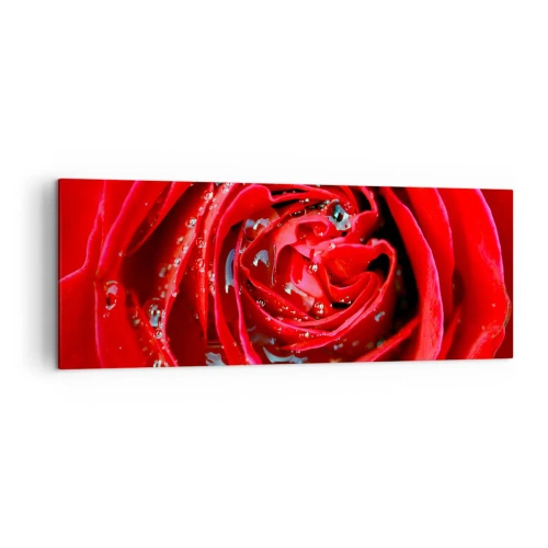 Impression sur toile - Image sur toile - Gros plan d'une rose rouge avec des gouttes d'eau sur les pétales - 140x50cm - Dans les gouttes de rosée - Décoration murale moderne pour le salon et la chambre ARTTOR