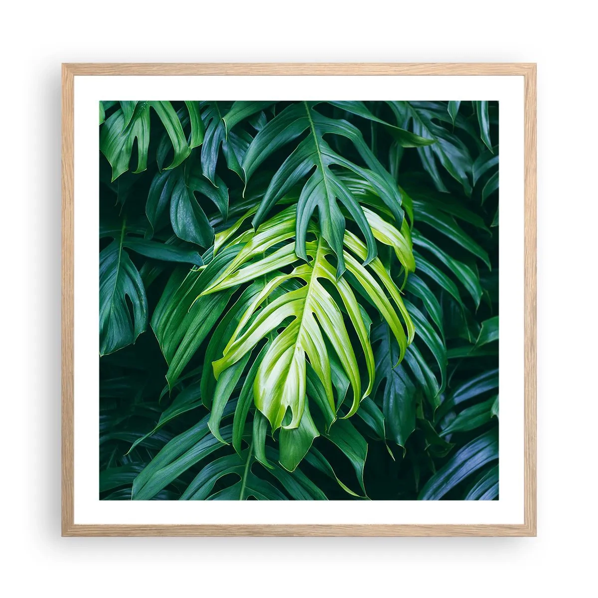 Affiche dans un chêne clair - Poster - Immergez-vous dans la fraîcheur - 60x60 cm