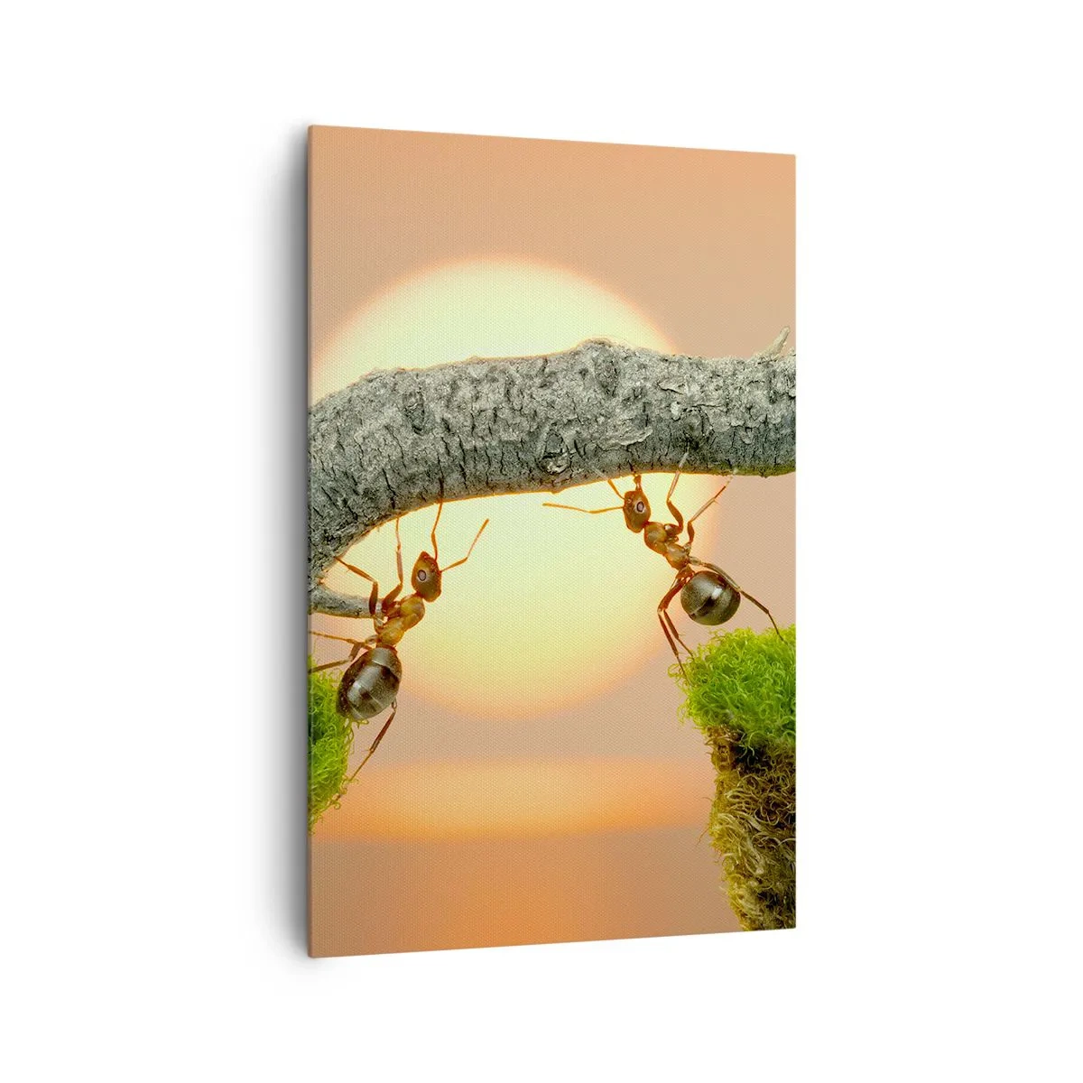 Impression sur toile - Image sur toile - Des fourmis construisent un pont de branches sur fond de soleil couchant. - 80x120cm - La joie, travaille d'équipe - Décoration murale moderne pour le salon et la chambre ARTTOR