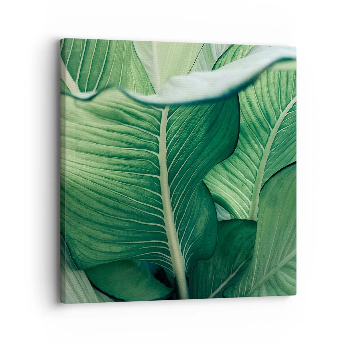 Impression sur toile - Image sur toile - Une vie intensément verte - 30x30 cm