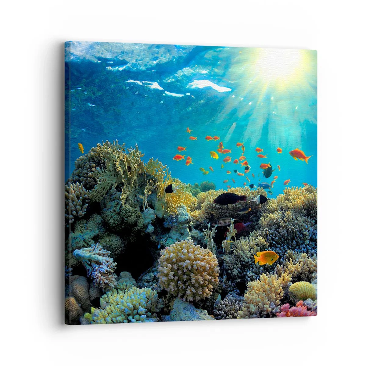 Impression sur toile - Image sur toile - Trésor sous-marin - 30x30 cm