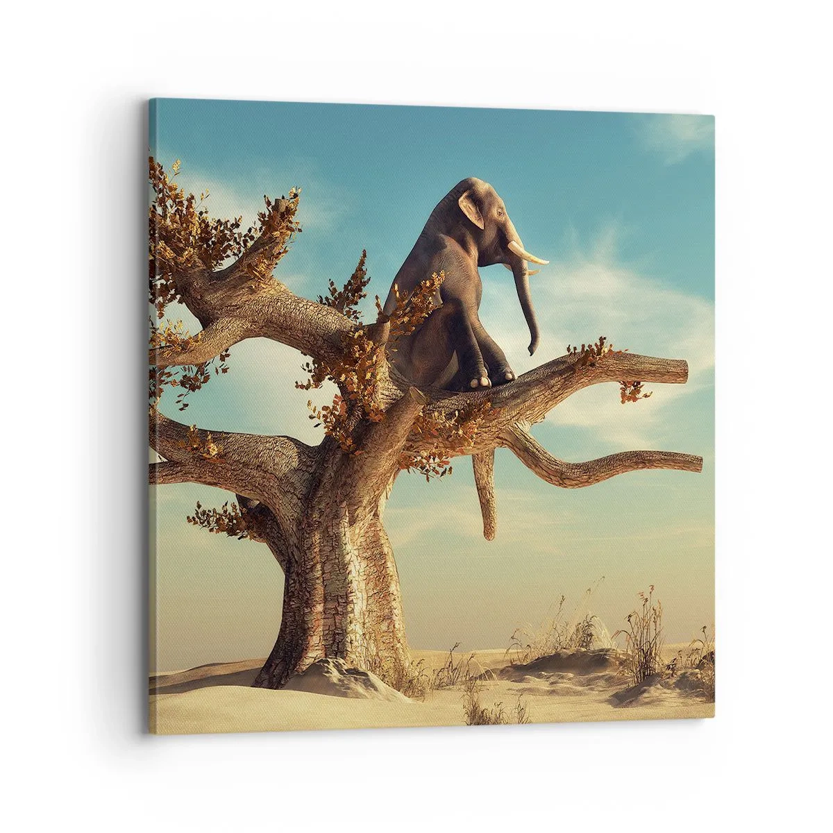 Impression sur toile - Image sur toile - Nouveau point de vue - 70x70 cm