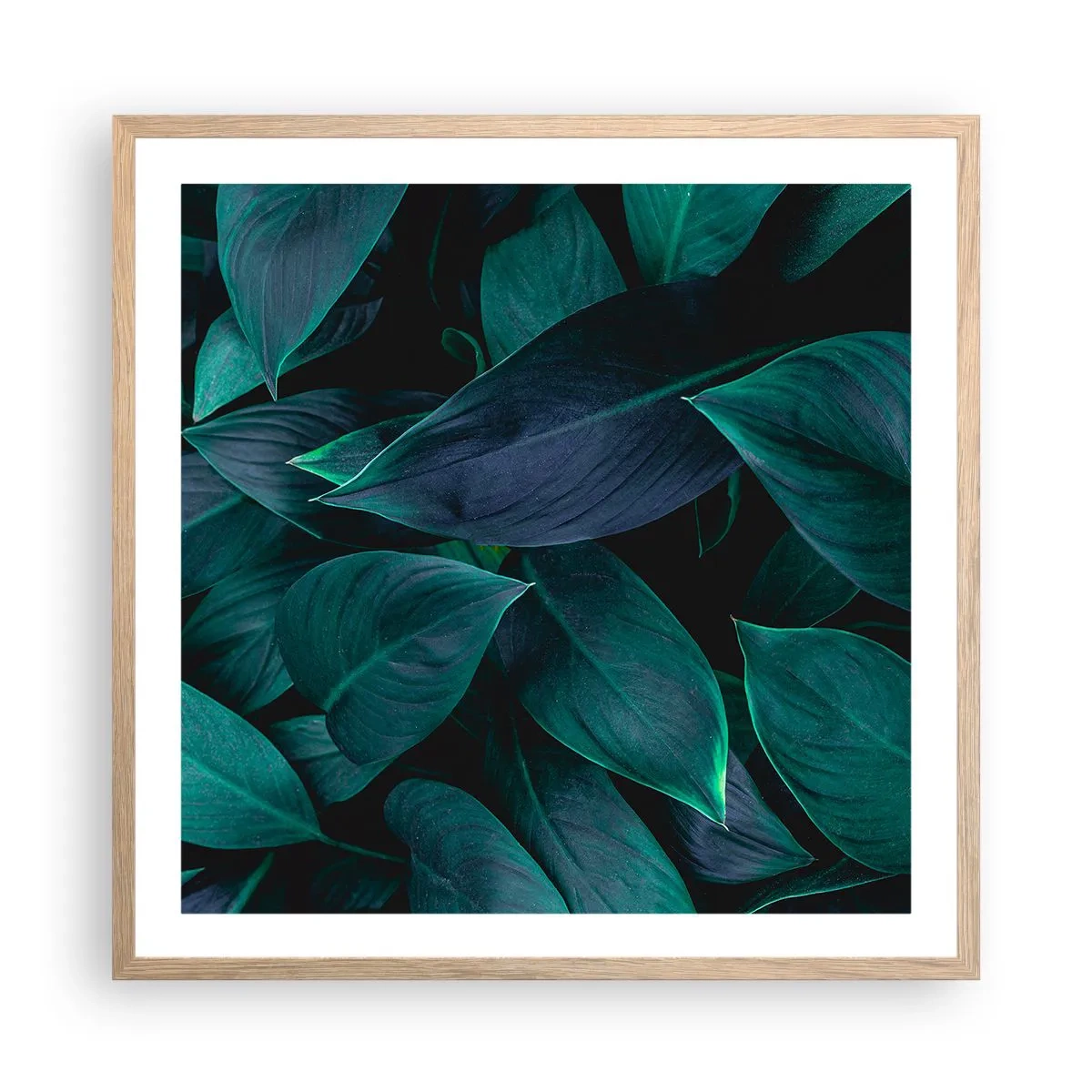 Affiche dans un chêne clair - Poster - le vert lui-même - 60x60 cm