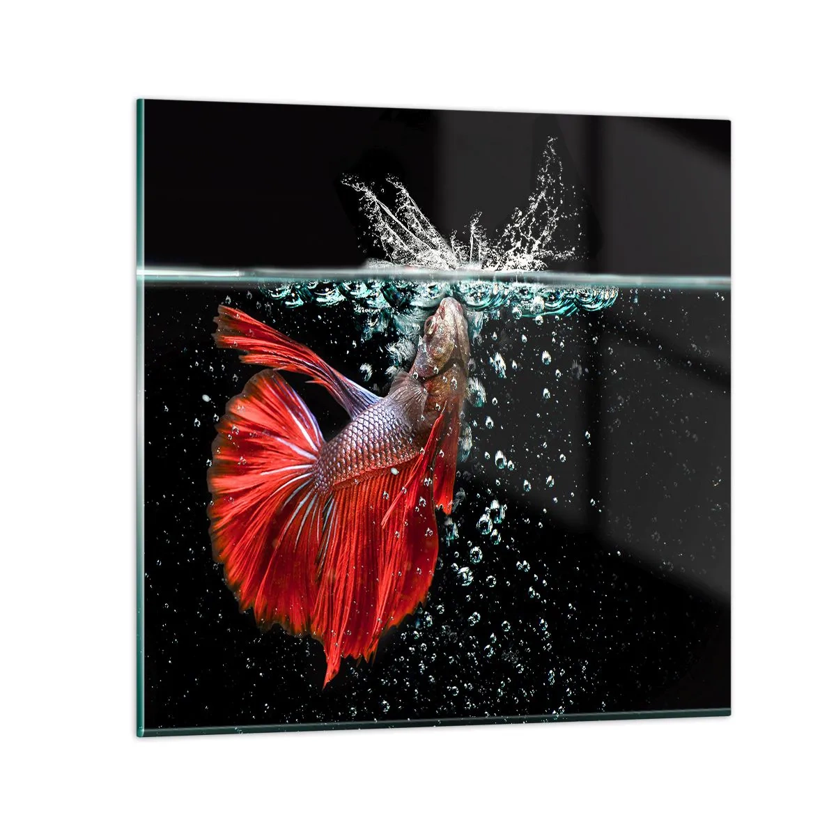 Impression sur verre - Image sur verre - Vous avez trois vœux - 70x70 cm