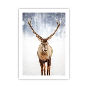 Affiche - Poster - Un cerf majestueux sur fond de paysage hivernal - 50x70cm - Directement du brouillard enneigé - Décoration murale moderne pour le salon et la chambre ARTTOR