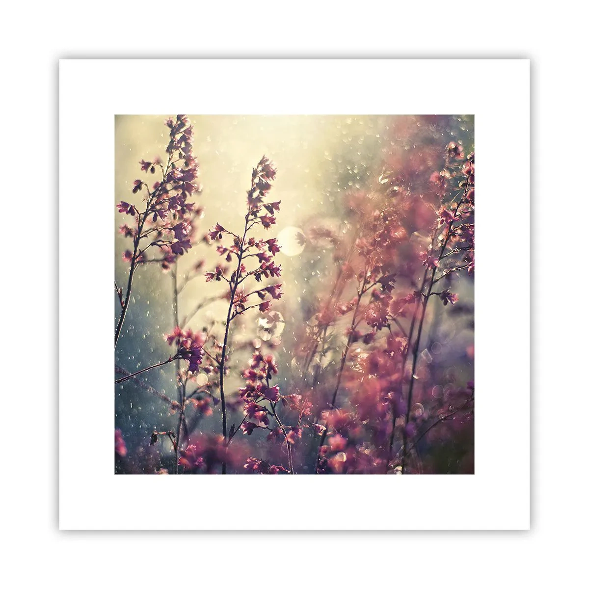 Affiche - Poster - Jardin secret - 30x30 cm